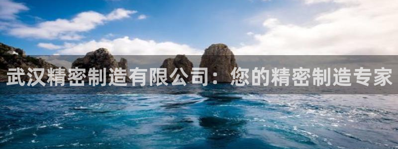 彩神8是正规平台吗：武汉精密制造有限公司：您的精密制造专家