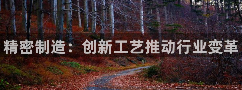 彩神v8官网版：精密制造：创新工艺推动行业变革