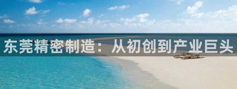 彩神争霸官方登录：东莞精密制造：从初创到产业巨头