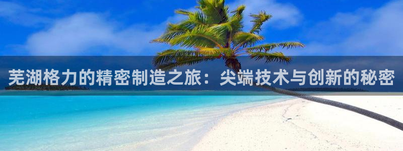 彩神趣购彩用户注册：芜湖格力的精密制造之旅：尖端技术与创新的秘密