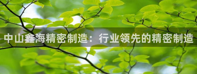 彩神用户登录：中山鑫海精密制造：行业领先的精密制造