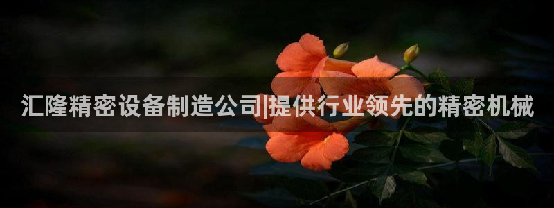 彩神vll趣投彩：汇隆精密设备制造公司|提供行业领先的精密机械