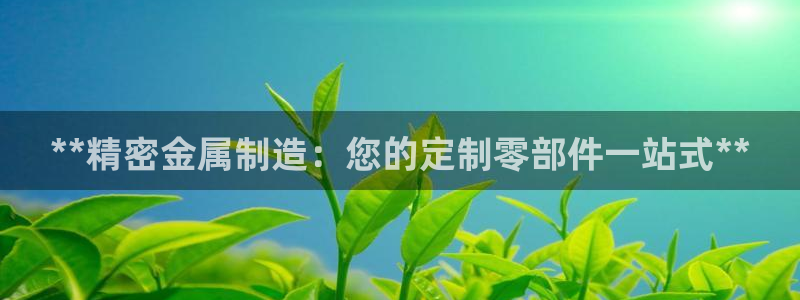 彩神ix可靠吗：**精密金属制造：您的定制零部件一站式**