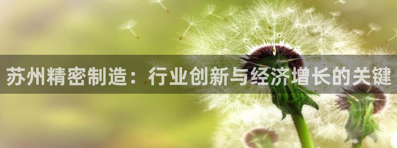 彩神购彩-购彩大厅入口下载：苏州精密制造：行业创新与经济增长的关键