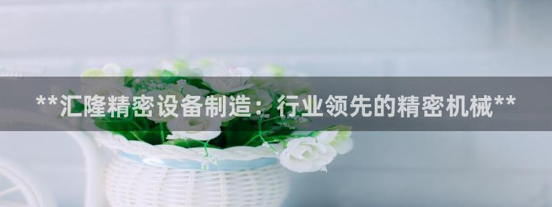彩神app能挣到钱吗：**汇隆精密设备制造：行业领先的精密机械**