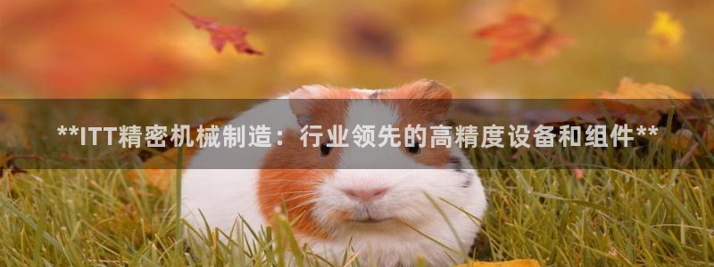 彩神争霸官网登录平台：**ITT精密机械制造：行业领先的高精度设备和组件**