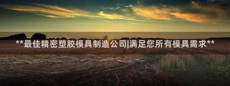 彩神v|：**最佳精密塑胶模具制造公司|满足您所有模具需求**