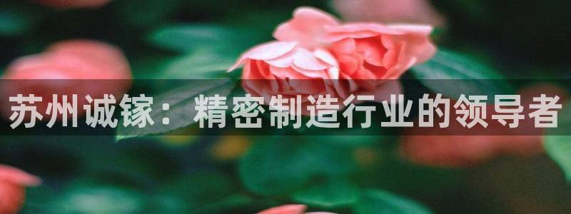 彩神ix官网是哪个公司的：苏州诚镓：精密制造行业的领导者