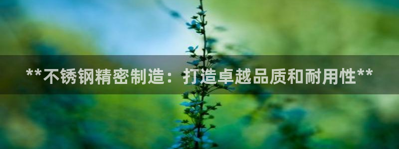 彩神ⅴll是什么样平台：**不锈钢精密制造：打造卓越品质和耐用性**