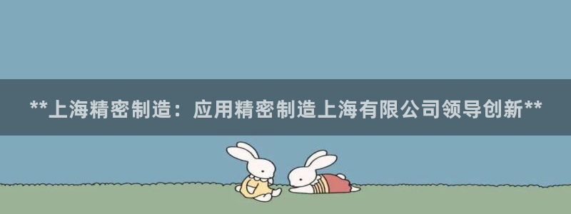 彩神通官方网：**上海精密制造：应用精密制造上海有限公司领导创新**