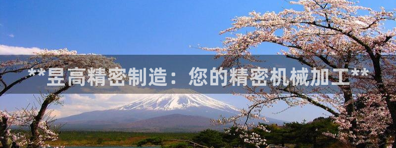 彩神争霸官方登录：**昱高精密制造：您的精密机械加工**