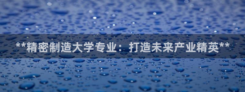 彩神输的钱是赌博还是诈骗：**精密制造大学专业：打造未来产业精英**