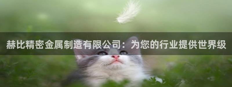 彩神系列平台：赫比精密金属制造有限公司：为您的行业提供世界级