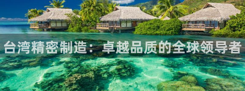 大发彩神争：台湾精密制造：卓越品质的全球领导者