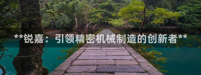 彩神ix官网：**锐嘉：引领精密机械制造的创新者**