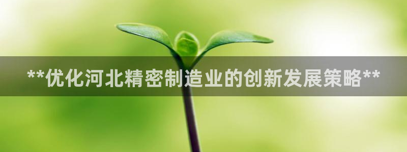 彩神iv争霸购彩大厅：**优化河北精密制造业的创新发展策略**