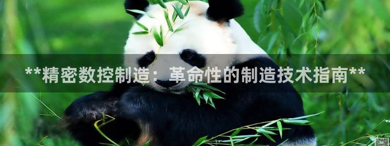 彩神v彩搜狗：**精密数控制造：革命性的制造技术指南**
