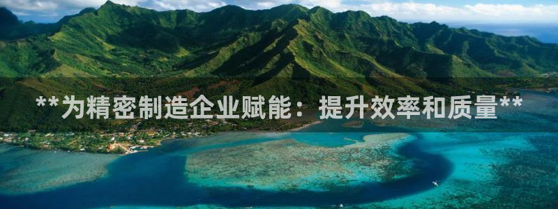 彩神v8是一个什么平台啊：**为精密制造企业赋能：提升效率和质量**