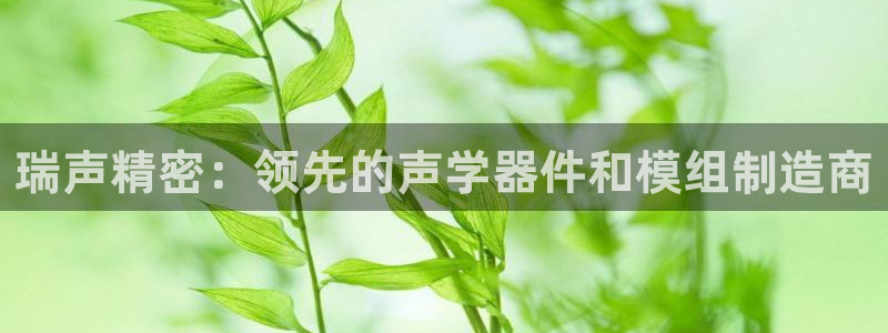 彩神赢的钱是哪里来的：瑞声精密：领先的声学器件和模组制造商