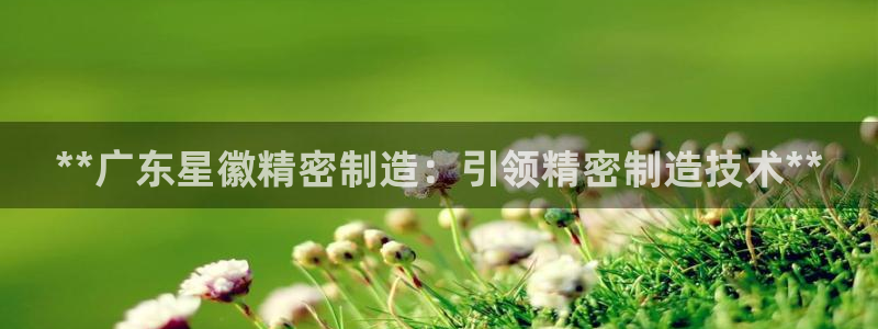 彩神vii购彩l心：**广东星徽精密制造：引领精密制造技术**