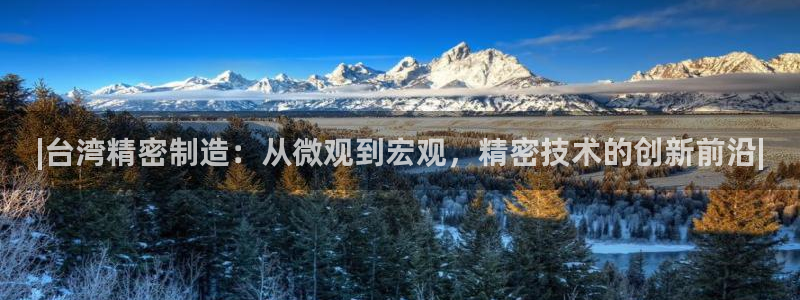 彩神vll官网在线登录：|台湾精密制造：从微观到宏观，精密技术的创新前沿|