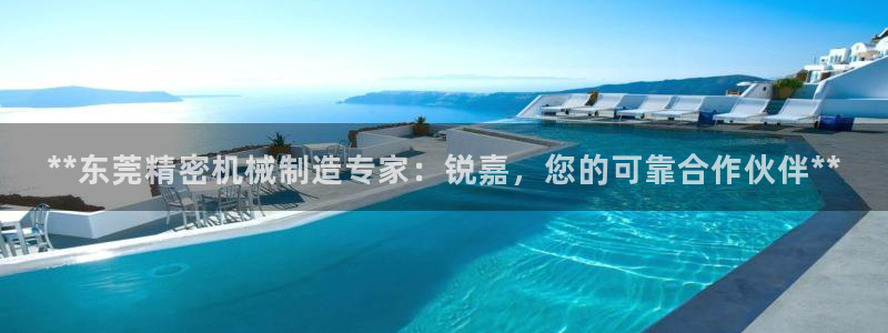 下载彩神通关注码：**东莞精密机械制造专家：锐嘉，您的可靠合作伙伴**