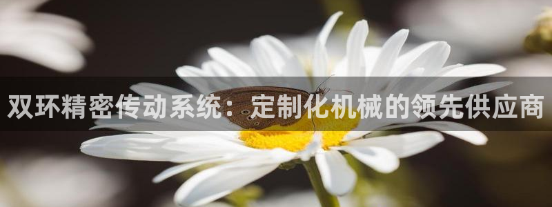 彩神v8app：双环精密传动系统：定制化机械的领先供应商