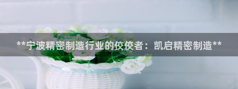 彩神ix官网：**宁波精密制造行业的佼佼者：凯启精密制造**