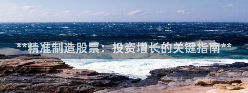 彩神vii官网大赢家：**精准制造股票：投资增长的关键指南**