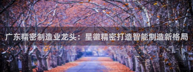 彩神v8首页：广东精密制造业龙头：星徽精密打造智能制造新格局