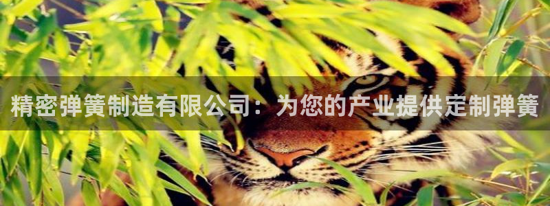 彩神vip官方网站：精密弹簧制造有限公司：为您的产业提供定制弹簧