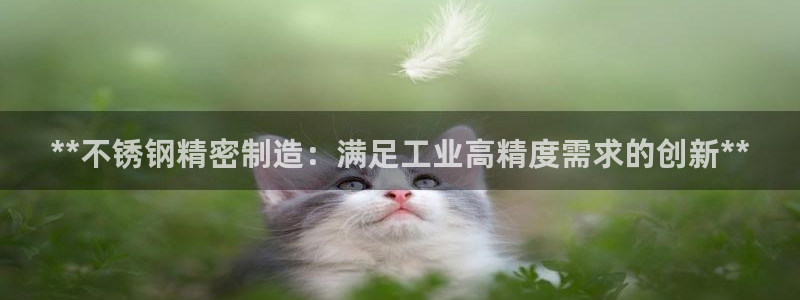 彩神v8iii：**不锈钢精密制造：满足工业高精度需求的创新**