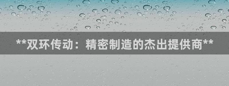 彩神vip购彩：**双环传动：精密制造的杰出提供商**