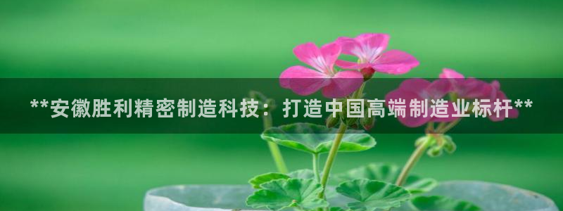彩神趣购彩用户注册：**安徽胜利精密制造科技：打造中国高端制造业标杆**