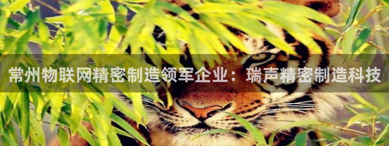 彩神网合法吗：常州物联网精密制造领军企业：瑞声精密制造科技