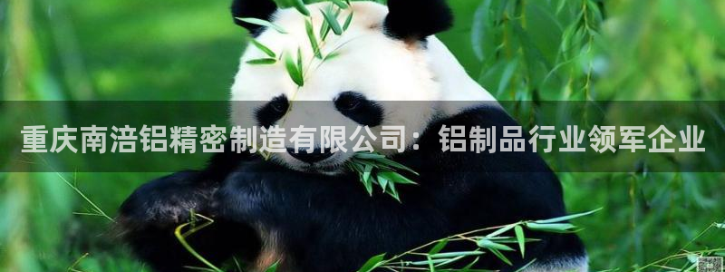 彩神vl官网：重庆南涪铝精密制造有限公司：铝制品行业领军企业