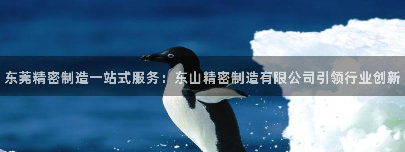 彩神v天天：东莞精密制造一站式服务：东山精密制造有限公司引领行业创新