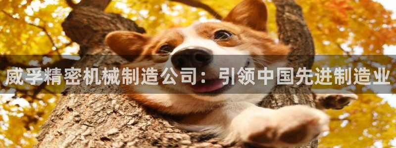 彩神vllⅰ购彩大厅：威孚精密机械制造公司：引领中国先进制造业
