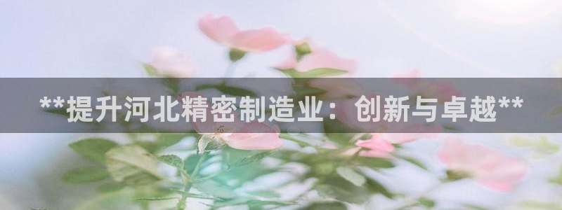 彩神大发如何观察走势：**提升河北精密制造业：创新与卓越**
