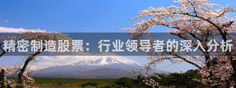 彩神Vii购彩-购彩大厅：精密制造股票：行业领导者的深入分析