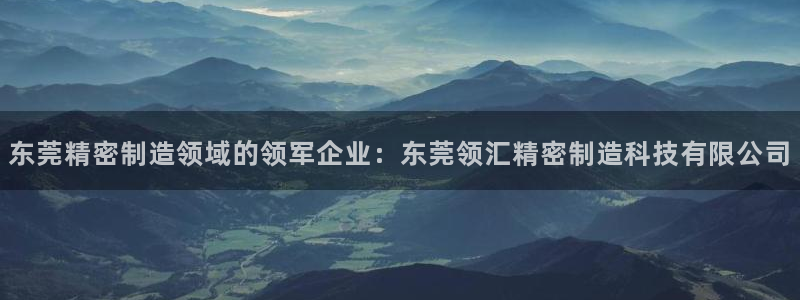 彩神网官网登录：东莞精密制造领域的领军企业：东莞领汇精密制造科技有限公司