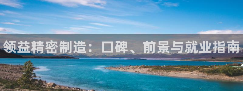 彩神v8下载app：领益精密制造：口碑、前景与就业指南