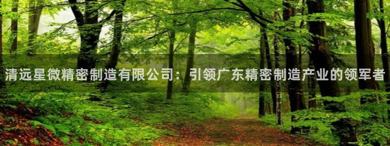 彩神争霸官方下载：清远星微精密制造有限公司：引领广东精密制造产业的领军者
