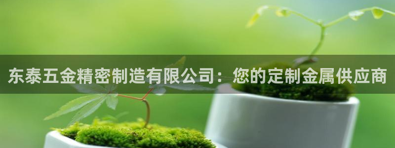 彩神客服电话：东泰五金精密制造有限公司：您的定制金属供应商