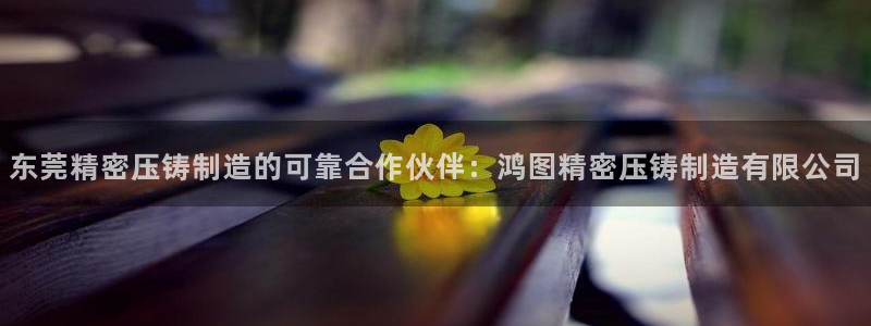 彩神v8下载app：东莞精密压铸制造的可靠合作伙伴：鸿图精密压铸制造有限公司