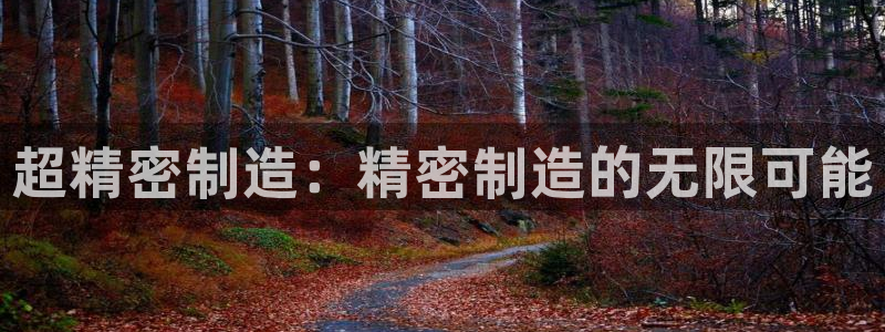 彩神v争霸有限公司：超精密制造：精密制造的无限可能