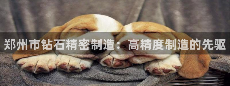 彩神8官网合法吗：郑州市钻石精密制造：高精度制造的先驱