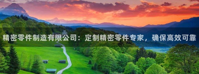 彩神v8iii：精密零件制造有限公司：定制精密零件专家，确保高效可靠