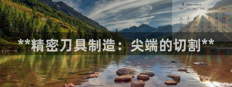 彩神v争霸有限公司：**精密刀具制造：尖端的切割**