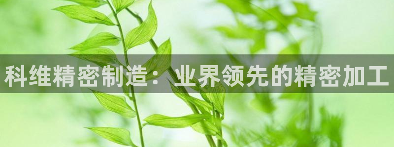 彩神v集团有限公司：科维精密制造：业界领先的精密加工